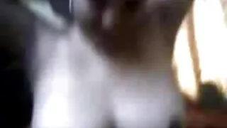 Bootyful salope noire Supa Star fait rebondir ses fesses sur un arbre dur
