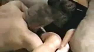 Un professeur coquin oblige ce jeune homme à lui donner le sexe oral directement sur son bureau