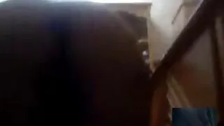 Blondie gâtée se fait défoncer la chatte en position de missionnaire